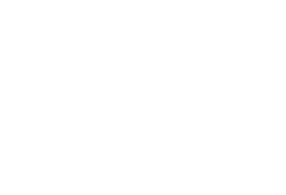 Le schéma de conception Singleton